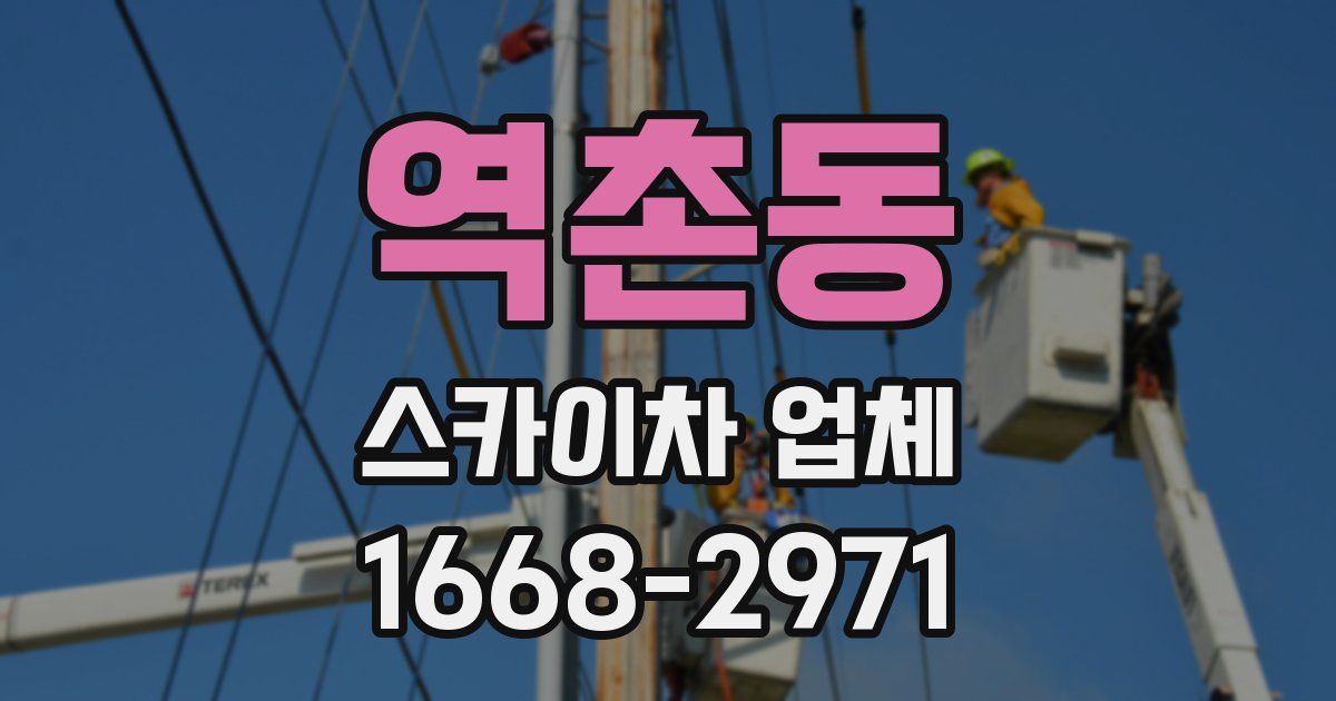 역촌동 스카이차 업체