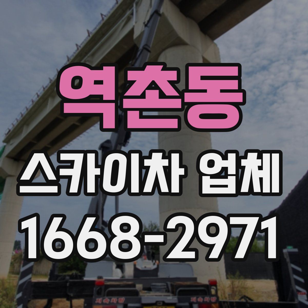 역촌동 스카이차 업체