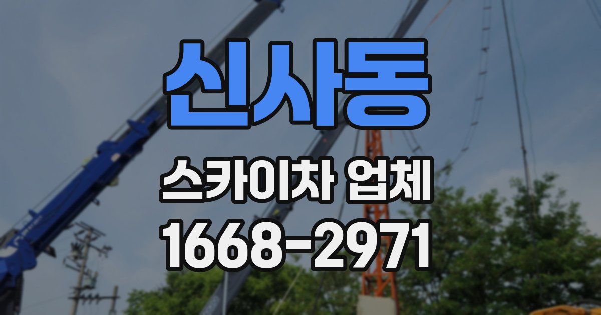 신사동 스카이차 업체