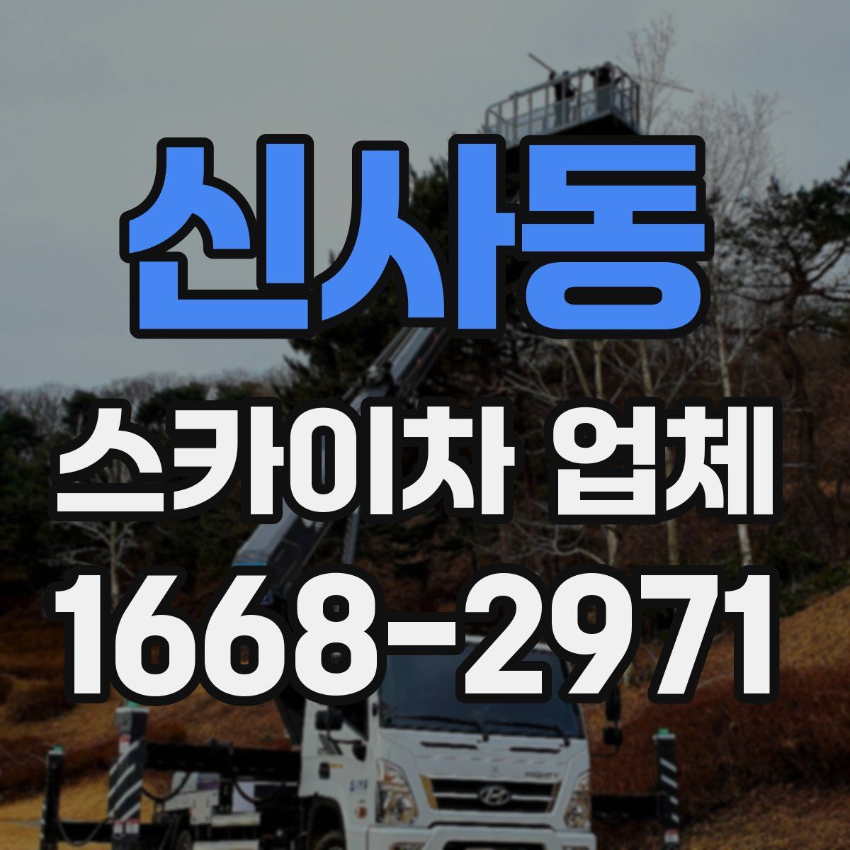 신사동 스카이차 업체