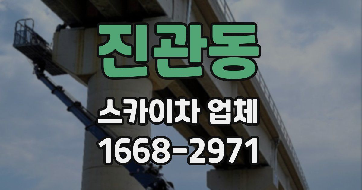 진관동 스카이차 업체