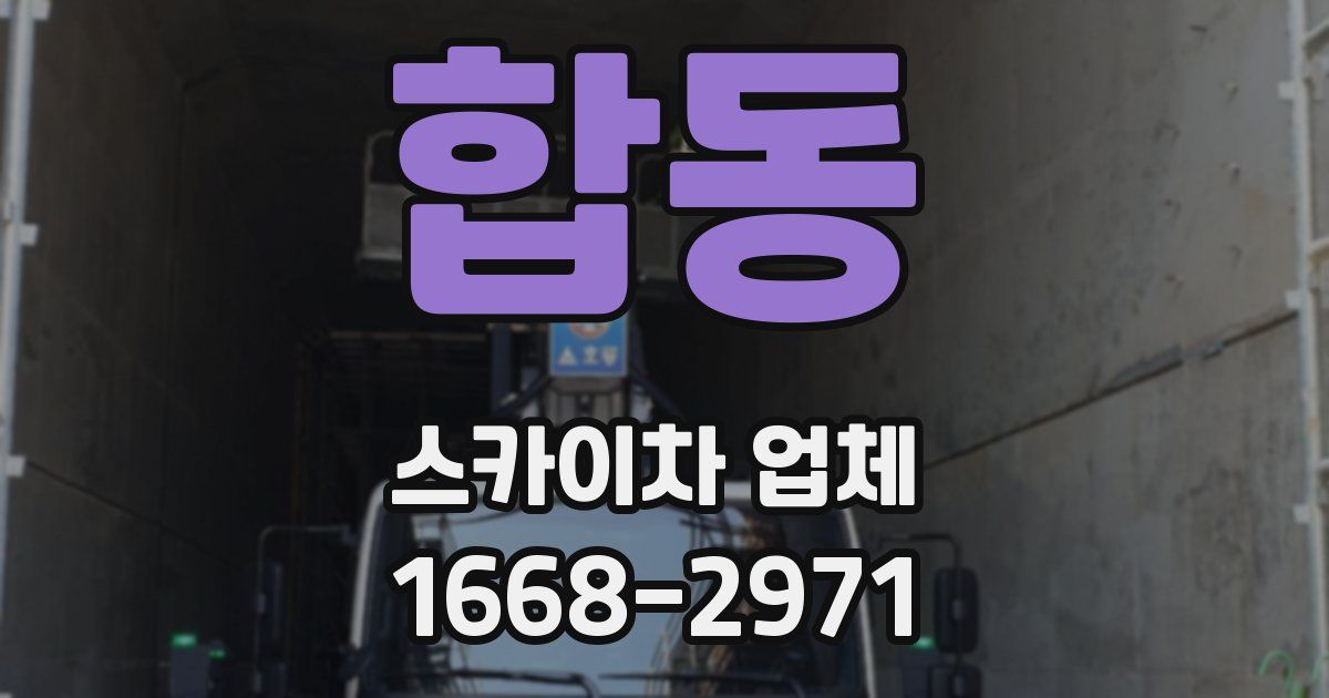 합동 스카이차 업체