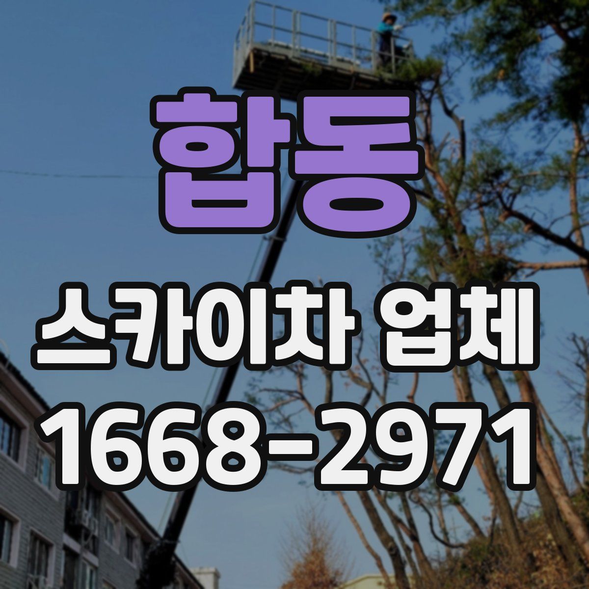 합동 스카이차 업체