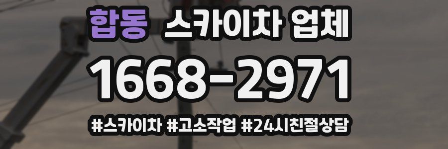 합동 스카이차 업체