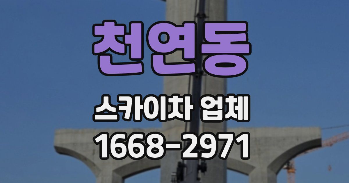 천연동 스카이차 업체