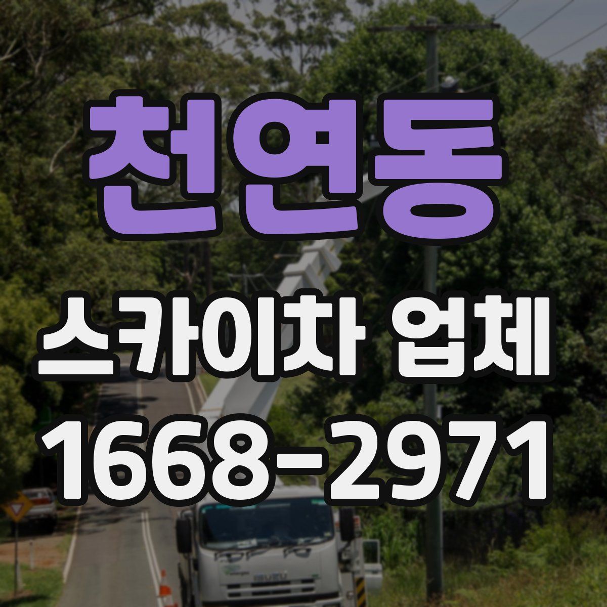 천연동 스카이차 업체