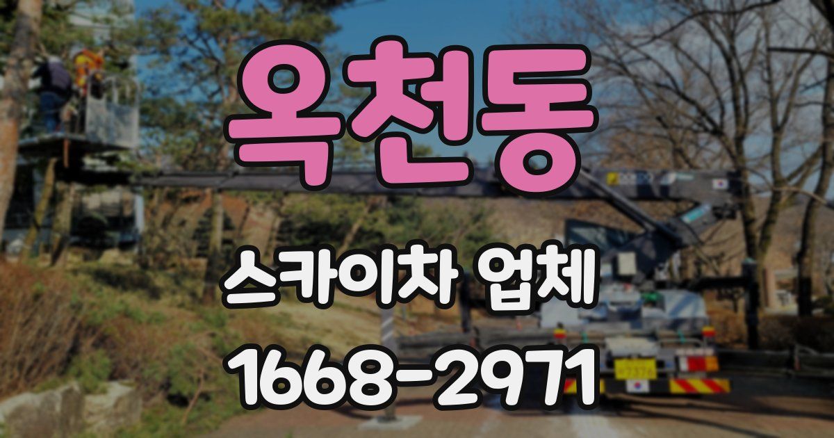 옥천동 스카이차 업체