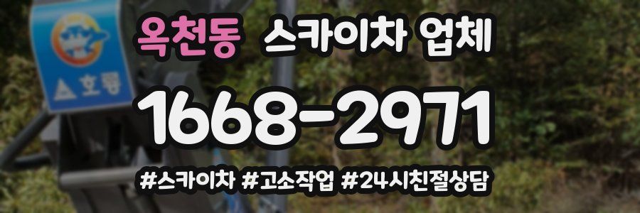 옥천동 스카이차 업체