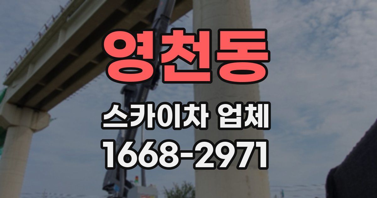영천동 스카이차 업체