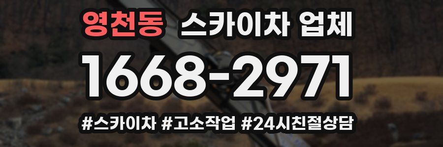 영천동 스카이차 업체