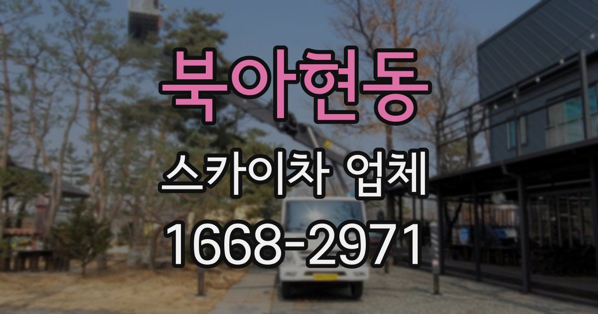 북아현동 스카이차 업체