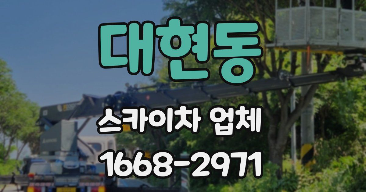 대현동 스카이차 업체