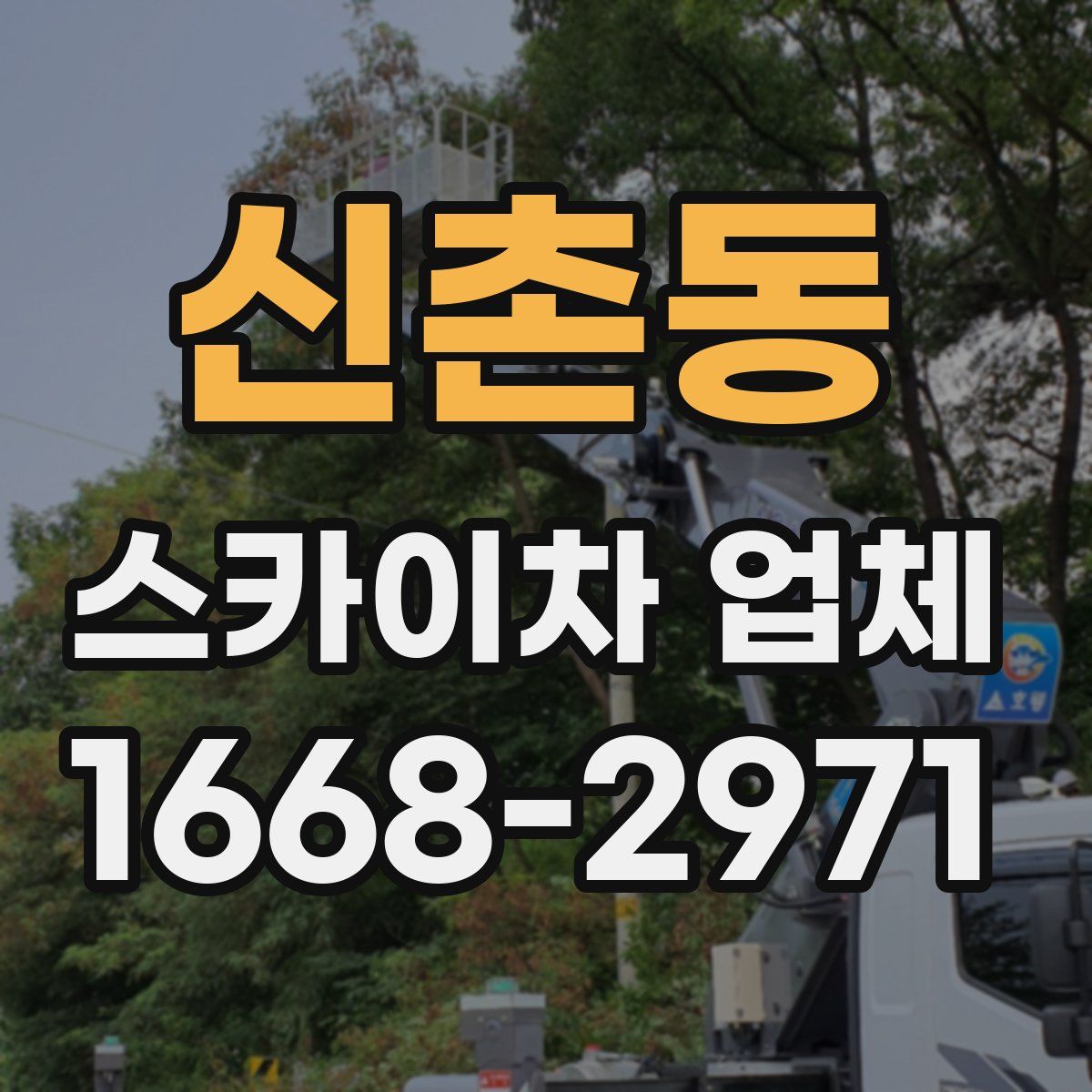 신촌동 스카이차 업체