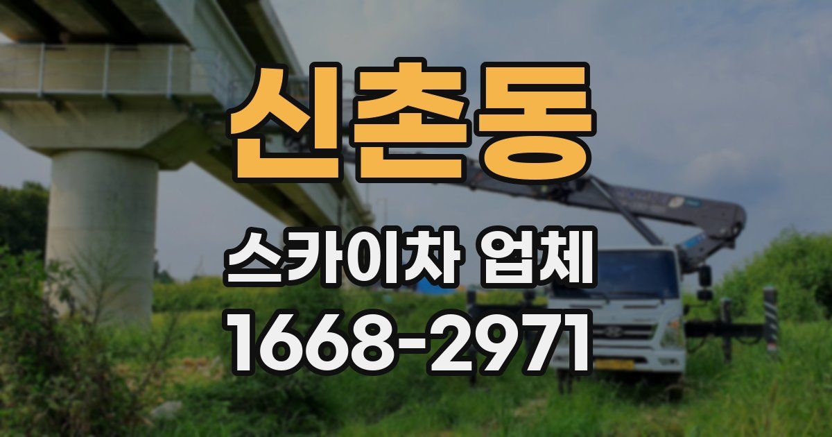 신촌동 스카이차 업체