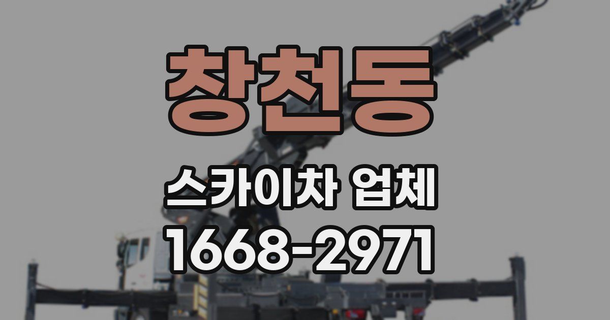 창천동 스카이차 업체