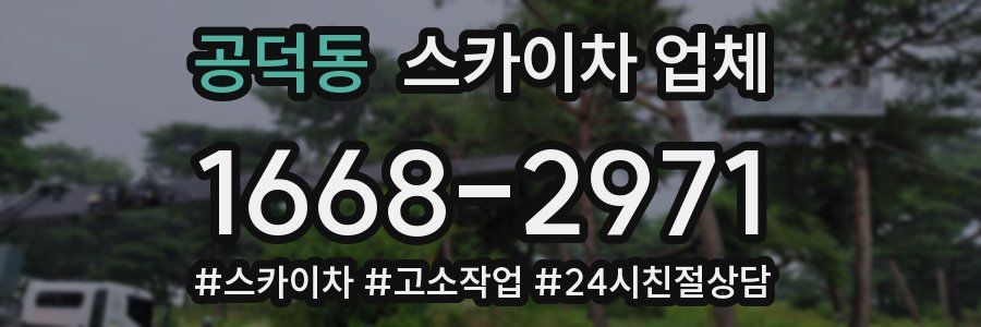 공덕동 스카이차 업체