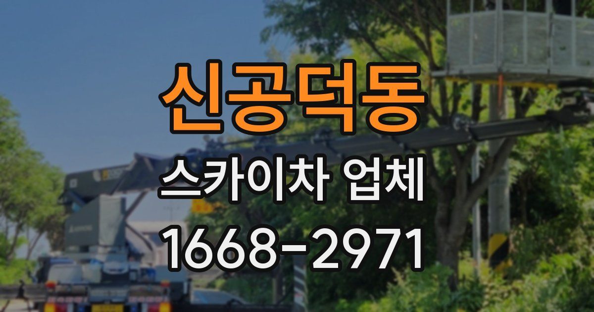 신공덕동 스카이차 업체