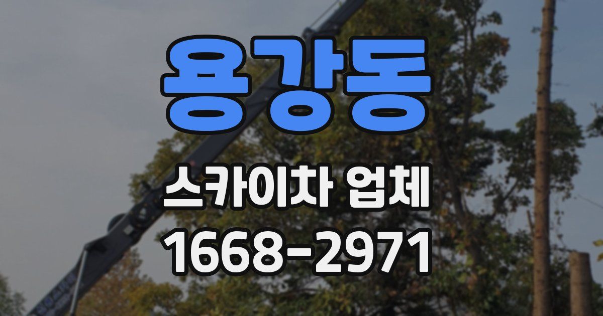 용강동 스카이차 업체
