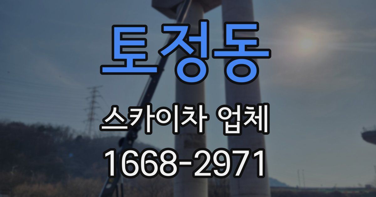 토정동 스카이차 업체
