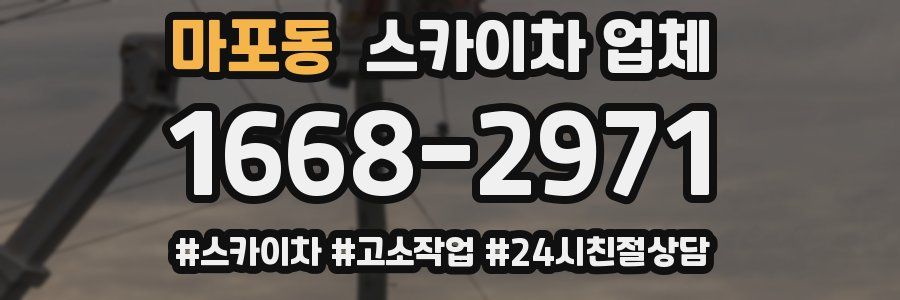 마포동 스카이차 업체