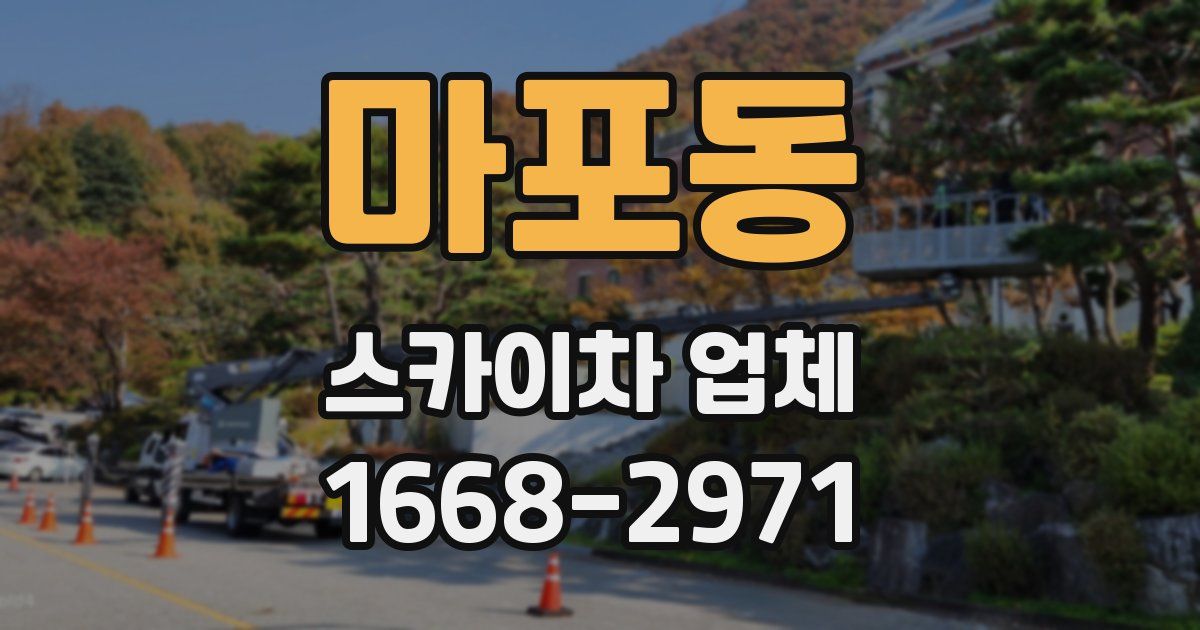 마포동 스카이차 업체