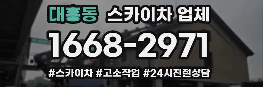 대흥동 스카이차 업체