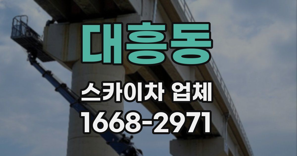 대흥동 스카이차 업체