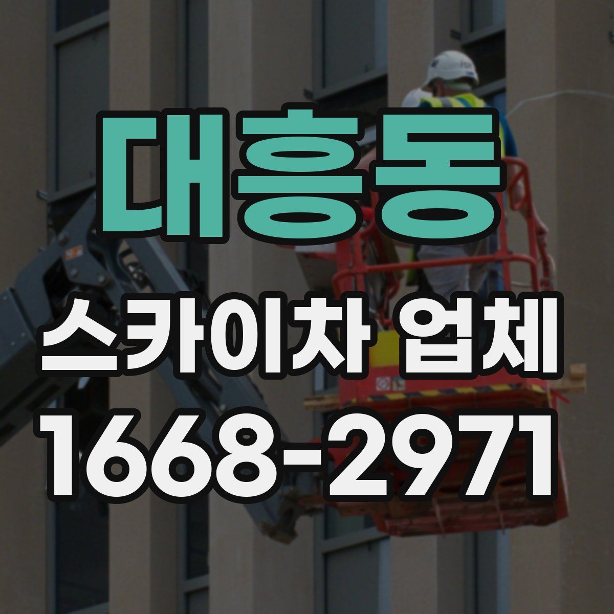 대흥동 스카이차 업체