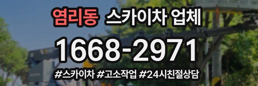 염리동 스카이차 업체
