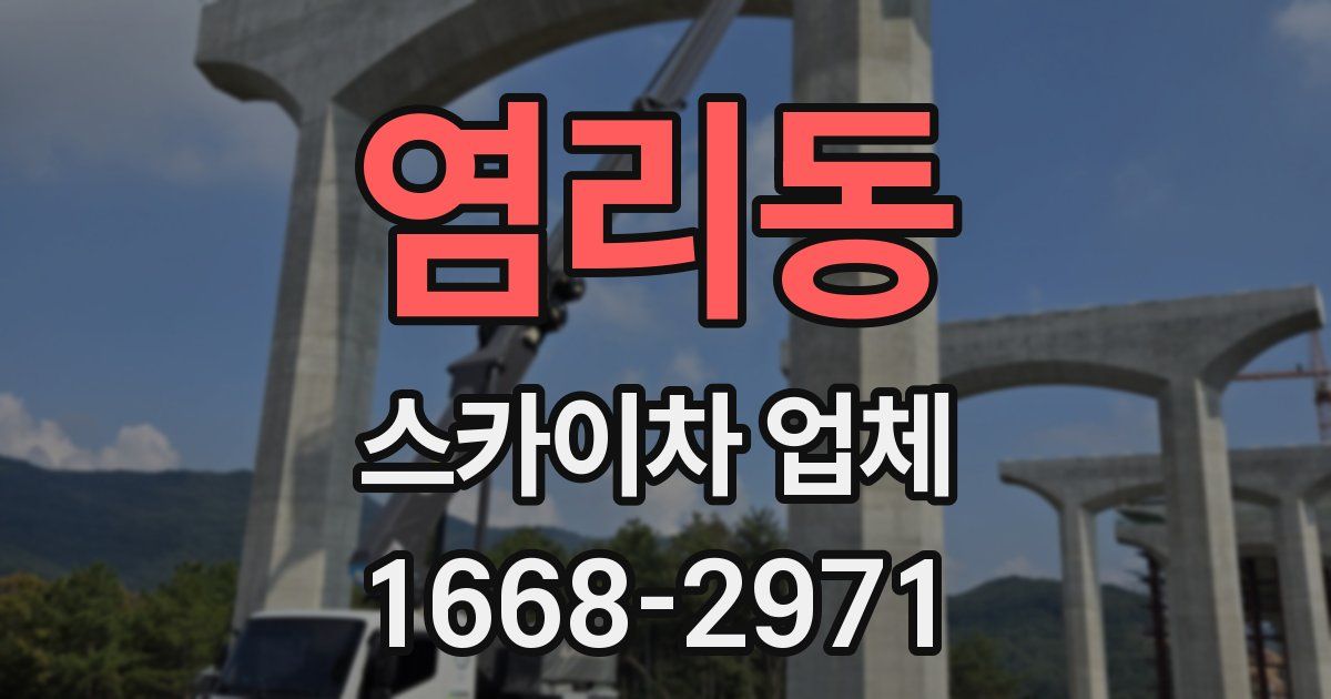 염리동 스카이차 업체