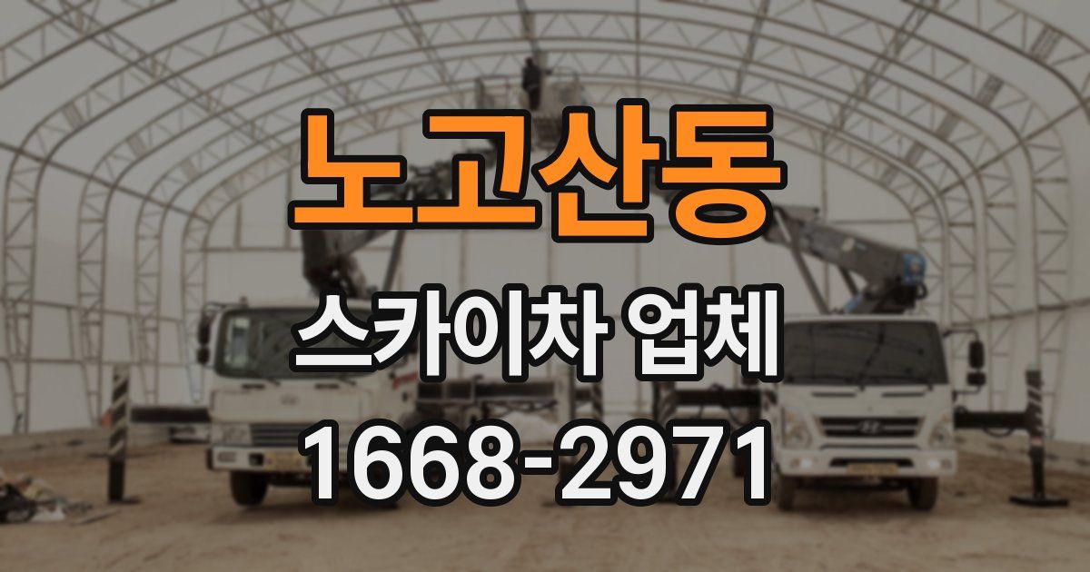 노고산동 스카이차 업체