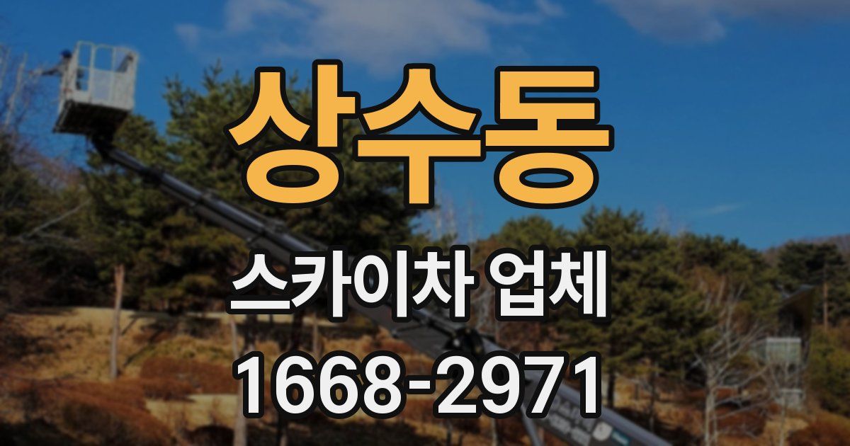 상수동 스카이차 업체