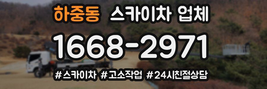 하중동 스카이차 업체