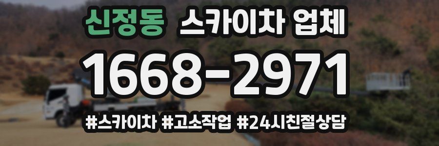 신정동 스카이차 업체