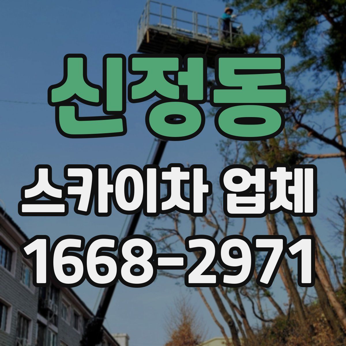 신정동 스카이차 업체