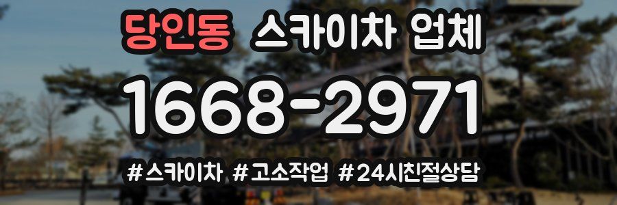 당인동 스카이차 업체