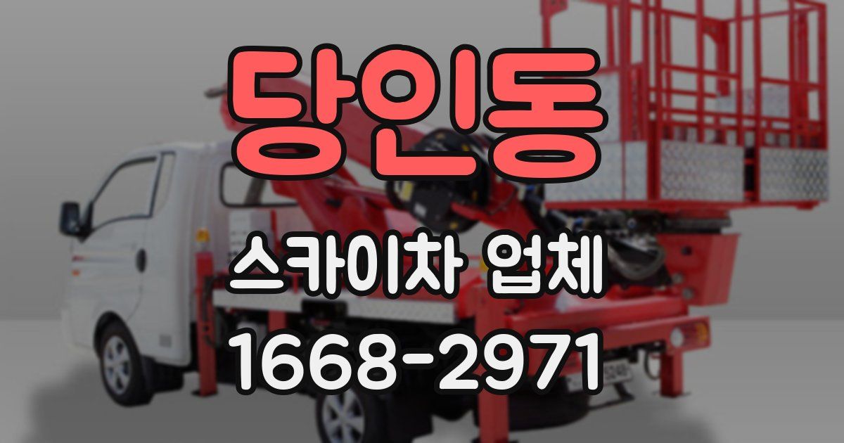 당인동 스카이차 업체
