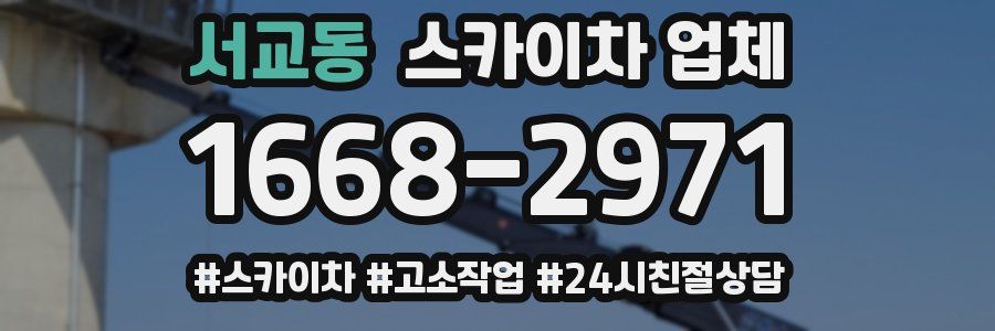 서교동 스카이차 업체
