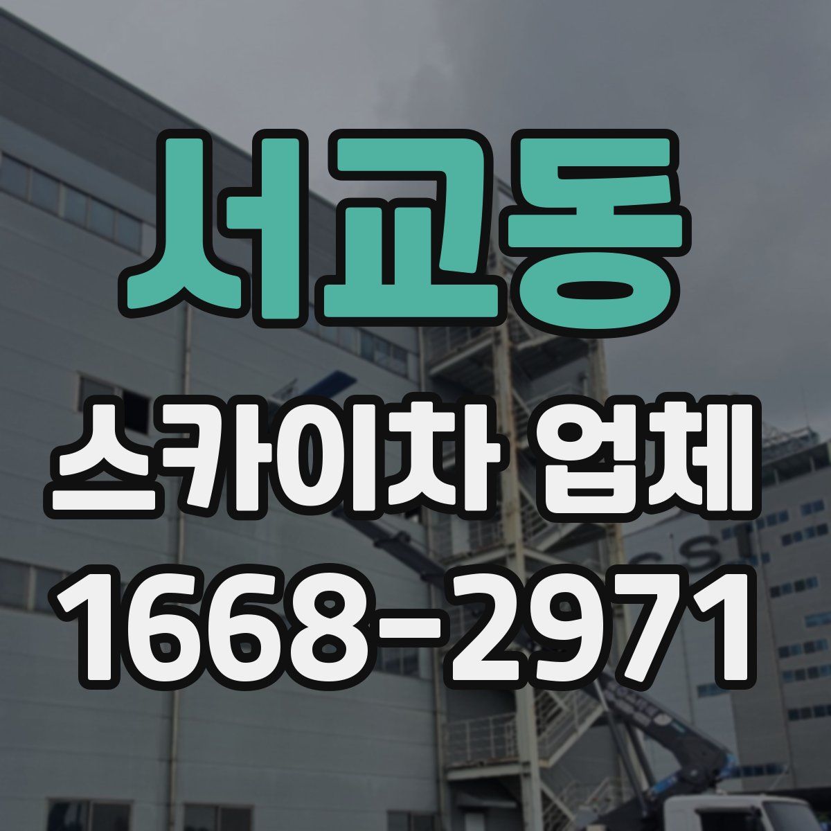 서교동 스카이차 업체