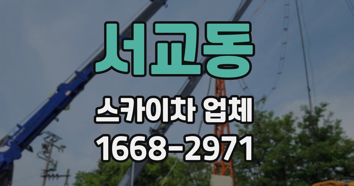서교동 스카이차 업체