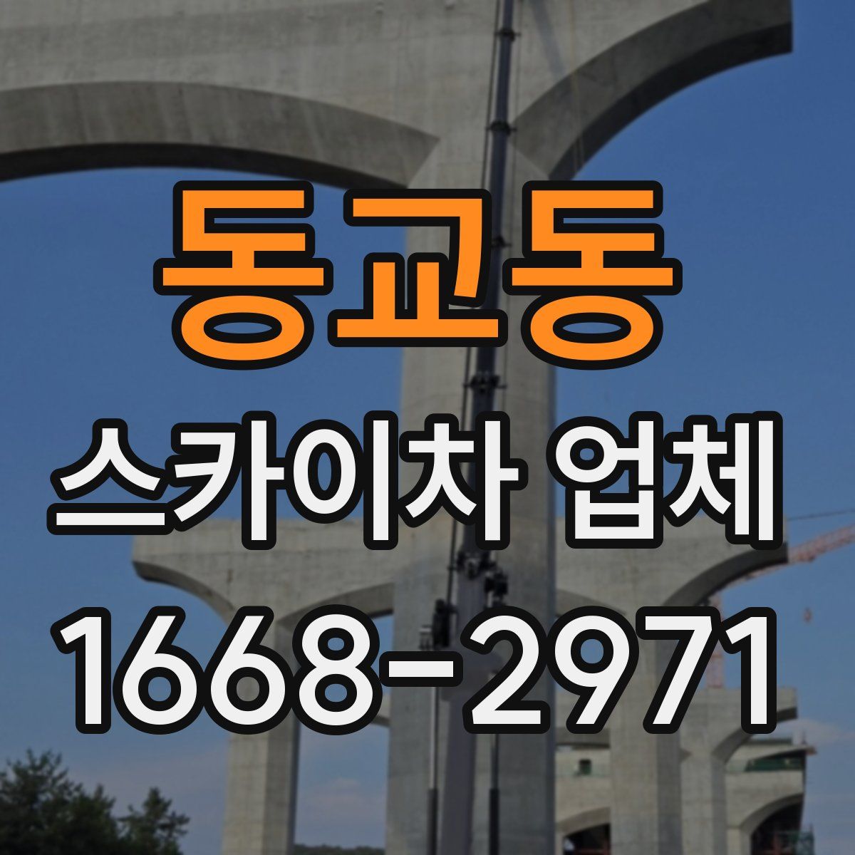 동교동 스카이차 업체