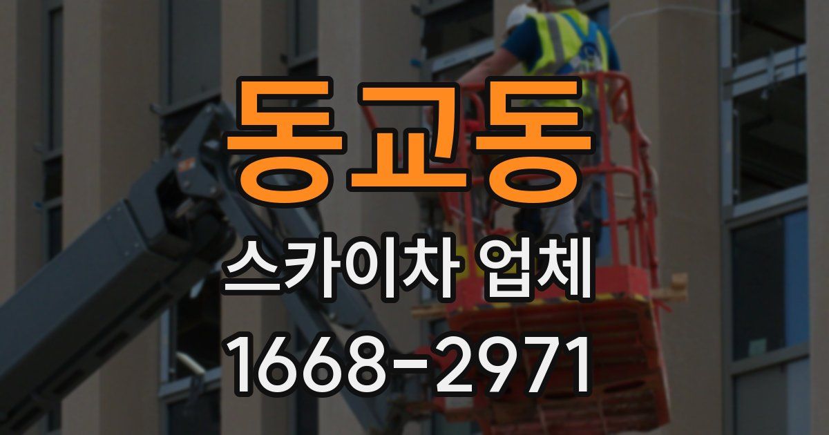 동교동 스카이차 업체