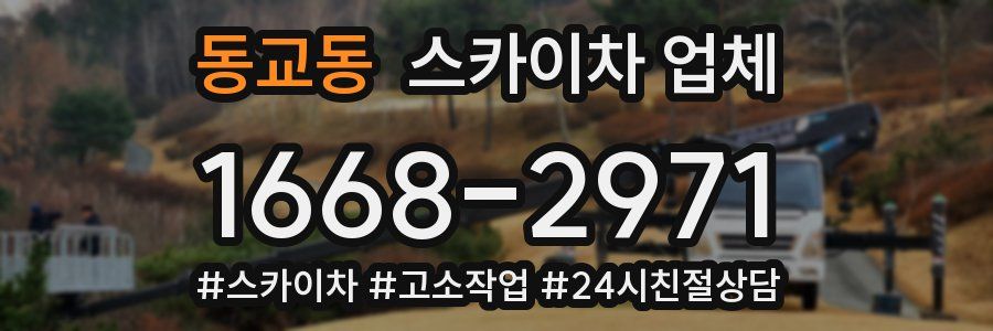 동교동 스카이차 업체