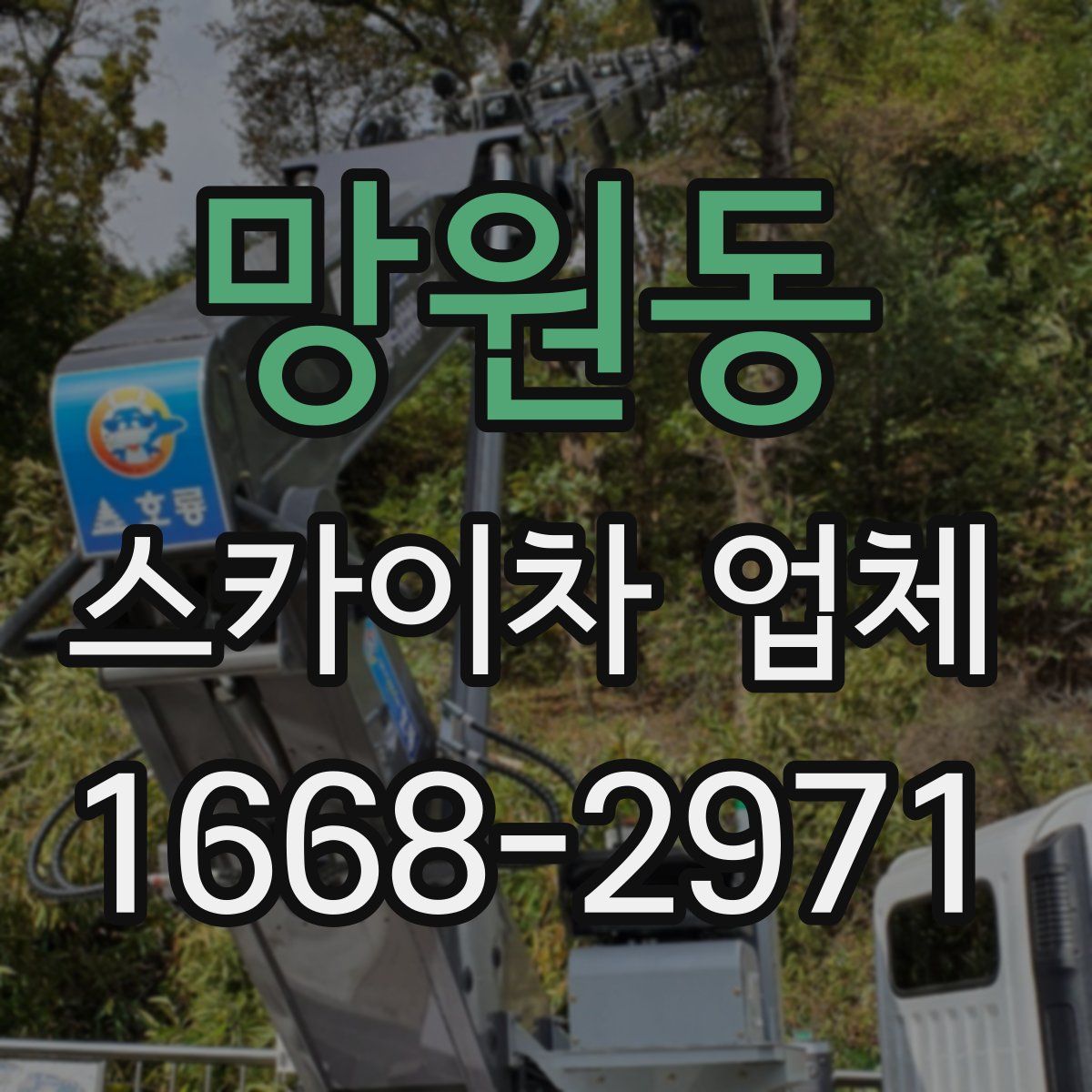 망원동 스카이차 업체