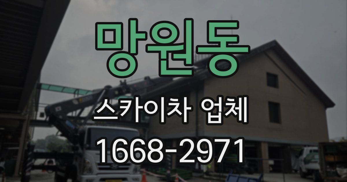 망원동 스카이차 업체