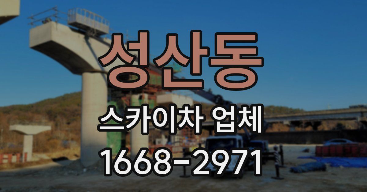 성산동 스카이차 업체