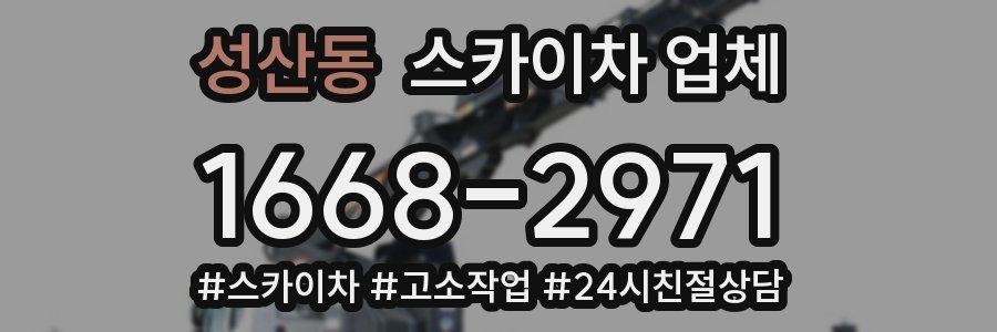 성산동 스카이차 업체