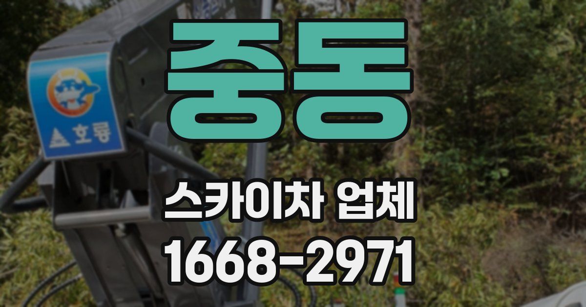 중동 스카이차 업체