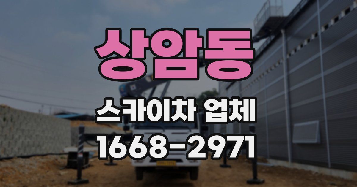 상암동 스카이차 업체