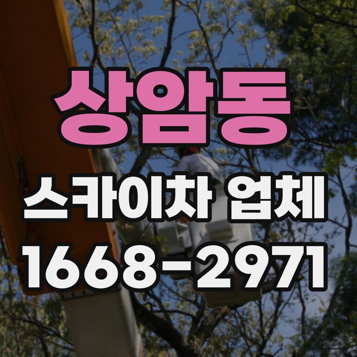 상암동 스카이차 업체